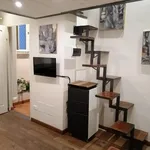 Rent 1 bedroom apartment in Florence