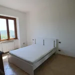 Rent 4 bedroom apartment of 80 m² in Roma