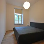 Rent 2 bedroom apartment in Brno