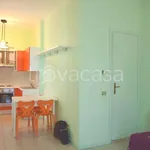 Rent 1 bedroom apartment of 35 m² in Gallarate