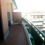 Rent 2 bedroom apartment of 45 m² in Grottaferrata