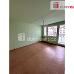 Rent 3 bedroom apartment of 79 m² in Plzeň