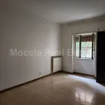 Rent 4 bedroom apartment of 100 m² in Caserta