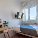 Alquilar 4 dormitorio apartamento en Madrid