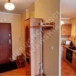 Rent 2 bedroom apartment of 37 m² in Włocławek