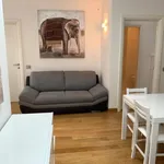 Rent 2 bedroom apartment of 50 m² in Turin