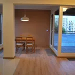 Rent 2 bedroom apartment of 46 m² in Poznan