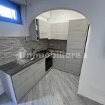 Rent 3 bedroom apartment of 45 m² in Pisa