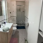 Rent 2 bedroom apartment of 52 m² in Pisa