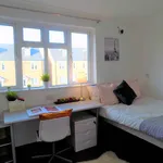 Rent 1 bedroom apartment in Coventry