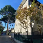 Rent 3 bedroom apartment of 74 m² in Riccione