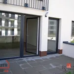 Rent 1 bedroom apartment of 39 m² in Pilsen