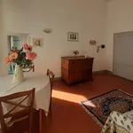 Rent 3 bedroom apartment of 65 m² in Florence