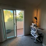 Rent 2 bedroom apartment in University City