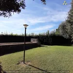 Rent 6 bedroom house of 150 m² in Capalbio