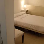 Rent 1 bedroom apartment in madrid