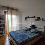 Rent 3 bedroom apartment of 70 m² in Pisa