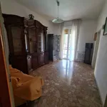 Rent 2 bedroom apartment of 70 m² in bologna