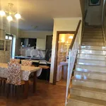 Rent 3 bedroom house of 80 m² in Anzio