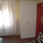 Rent 1 bedroom apartment in Bologna