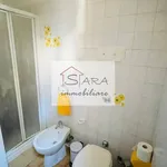 Rent 2 bedroom apartment of 35 m² in Padova