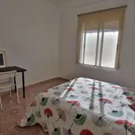 Alquilar 4 dormitorio apartamento en Valencia