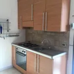 Rent 2 bedroom apartment of 50 m² in Palermo