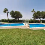 Rent 1 bedroom apartment of 45 m² in Torrevieja