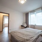 Pronajměte si 1 ložnic/e dům o rozloze 764 m² v Heršpice