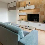 Rent 2 bedroom apartment of 57 m² in Dresden