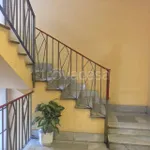 Rent 3 bedroom apartment of 80 m² in Torino