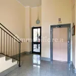 Rent 3 bedroom apartment of 78 m² in Turin