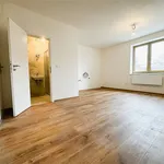 Rent 1 bedroom apartment of 32 m² in Brno