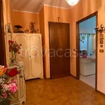 Rent 3 bedroom apartment of 85 m² in Torino