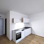 Pronajměte si 1 ložnic/e byt o rozloze 27 m² v Čížová