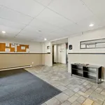 Rent 1 bedroom apartment in Windsor, ON