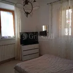 Rent 3 bedroom apartment of 80 m² in Roma