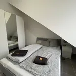 Miete 1 Schlafzimmer wohnung von 50 m² in Karlsruhe