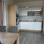 Rent 1 bedroom apartment of 54 m² in Prague