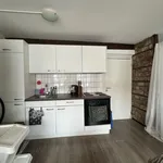 Rent 1 bedroom apartment of 48 m² in Maastricht