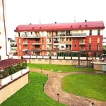 Rent 2 bedroom apartment of 50 m² in Piacenza