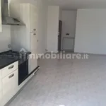 Rent 3 bedroom apartment of 70 m² in Rome