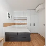 Pronajměte si 2 ložnic/e byt o rozloze 46 m² v Prague