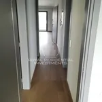 Rent 2 bedroom apartment of 100 m² in Κεφαλλήνων