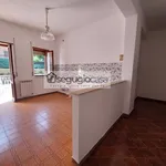 Rent 2 bedroom apartment of 50 m² in Roma