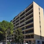 Rent 3 bedroom apartment of 100 m² in Foggia