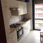 Rent 3 bedroom apartment of 85 m² in Trento