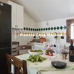 Rent 2 bedroom apartment of 60 m² in Marsala