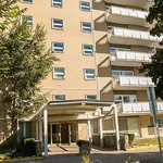 Rent 3 bedroom apartment in toronto