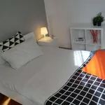 Rent a room in padua